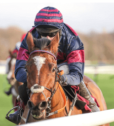 r/HorseRacingUK community icon