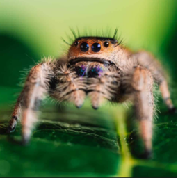 r/unknown_sub community icon