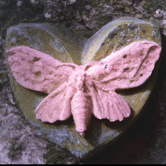 r/MelanieMartinez community icon