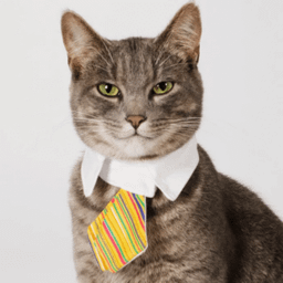 r/legalcatadvice community icon