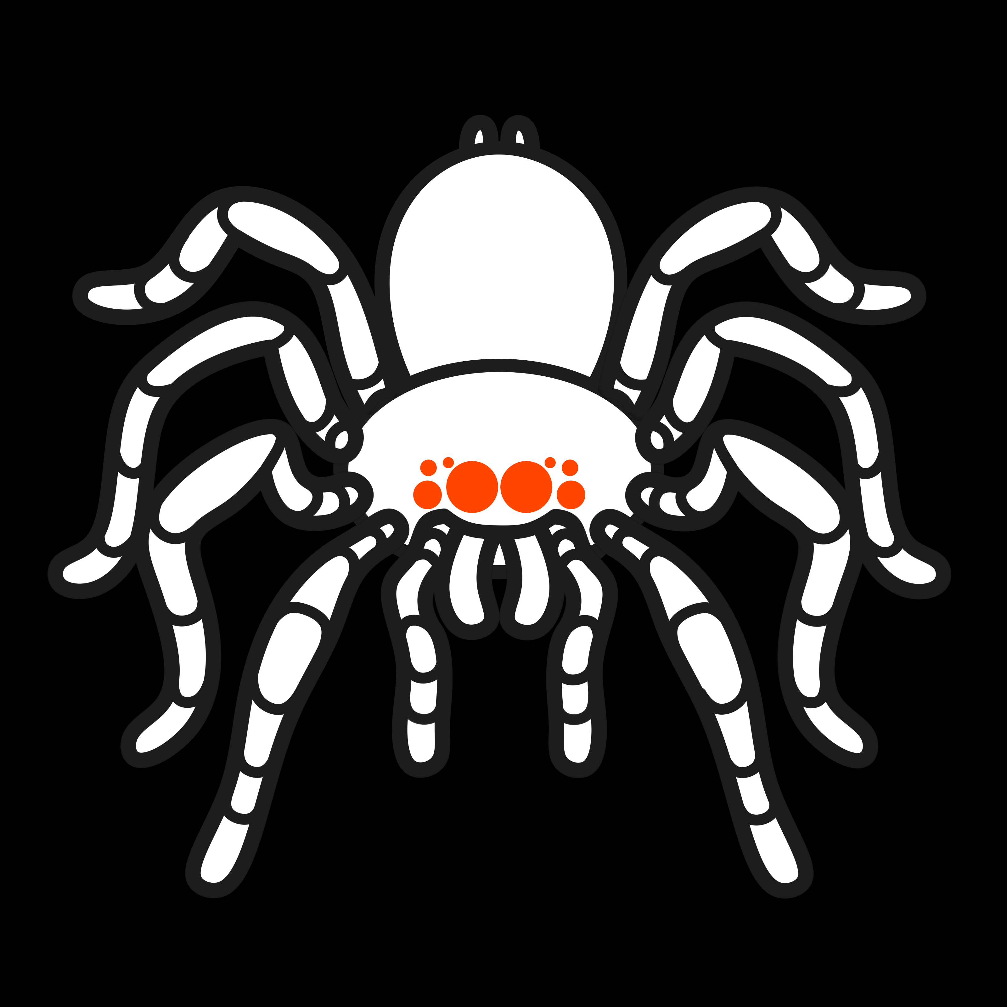 r/tarantulas community icon