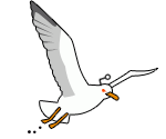r/VictoriaBC community icon