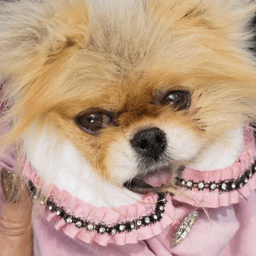 r/RHOBH community icon