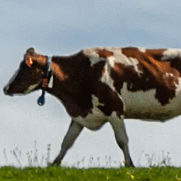 r/Austria community icon